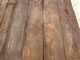 sunbuff walnut