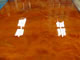 acid staining