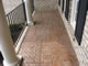 Terra Cotta Cream Beige