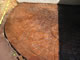 Terra Cotta Rust Brown Increte