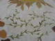 shop stain samples