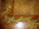 stained concrete