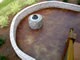 stained concrete